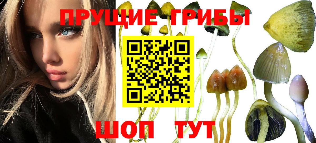 Галлюциногенные грибы Magic Shrooms Сатка