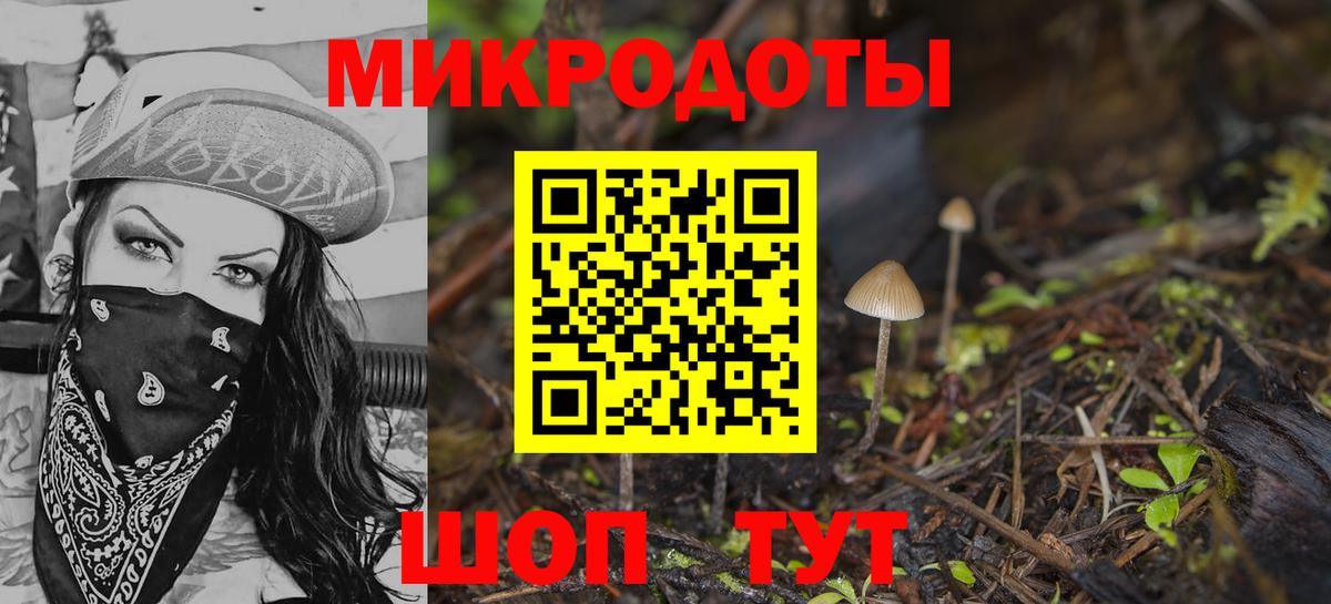 Галлюциногенные грибы Psilocybe  Вход с VPN  Сатка 